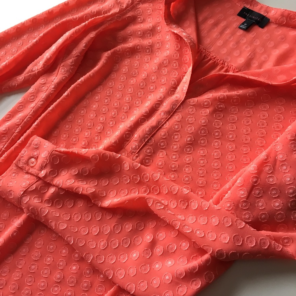 The Limited Blouse